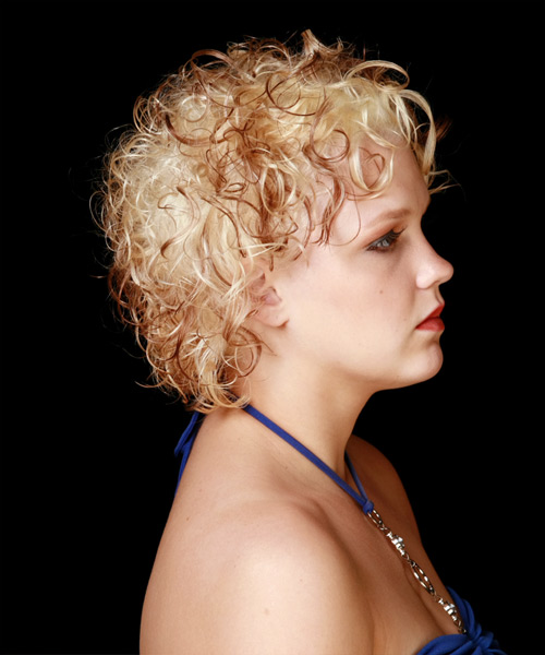 formal short hairstyles. Formal Short Curly Hairstyle