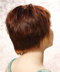 Casual Short Straight Hairstyle - click to view hairstyle information