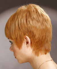 Casual Short Straight Hairstyle - click to view hairstyle information
