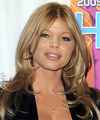 Donna D'Errico Hairstyles