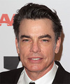 Peter Gallagher Hairstyles