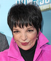 Liza Minnelli Hairstyles
