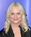 Amy Poehler