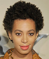 Solange Knowles Hairstyles