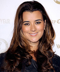 Cote de Pablo Hairstyle - click to view hairstyle information