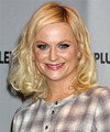 Amy Poehler