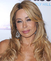 Faye Resnick Hairstyles