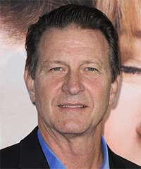 Brett Cullen Hairstyle - click to view hairstyle information