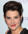 Cobie Smulders Hairstyles