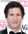 Andy Samberg Hairstyles