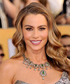 Sofia Vergara