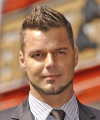 Ricky Martin Hairstyle - click to view hairstyle information