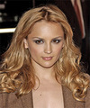 Rachael Leigh Cook Hairstyles
