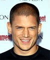 Wentworth Miller Hairstyles