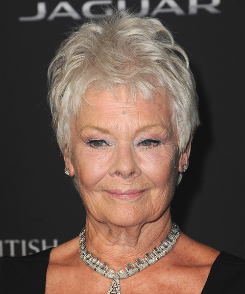 Judi Dench Short Straight Light Grey Hairstyle