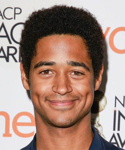 Alfred Enoch Short Curly   Black  Afro  Hairstyle