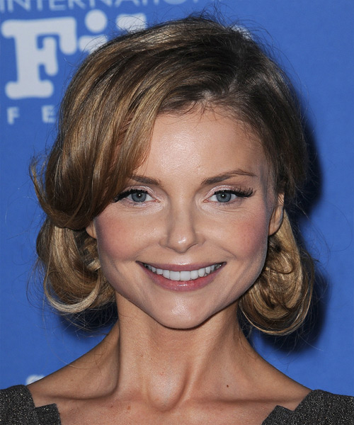 Izabella Miko Long Straight   Light Brunette  Updo