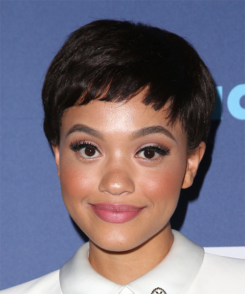 Kiersey Clemons Layered  Dark Brunette Pixie