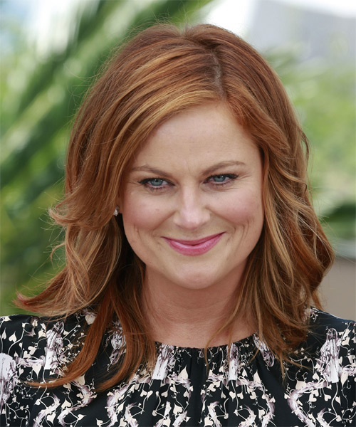Amy Poehler Long Straight    Red   Hairstyle   with Dark Blonde Highlights