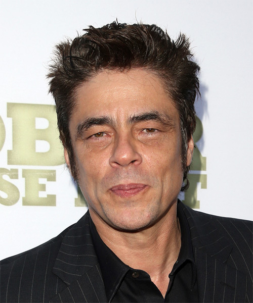 Benicio del Toro Short Straight   Dark Brunette   Hairstyle