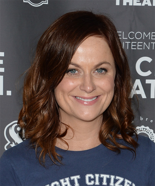 Amy Poehler Hairstyles, Hair Cuts and Colors