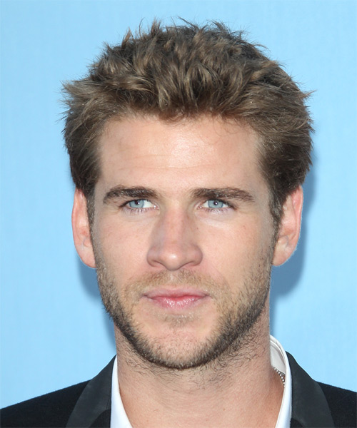 Liam Hemsworth Short Straight Casual Hairstyle - Medium 