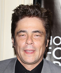 Benicio Del Toro Hairstyles
