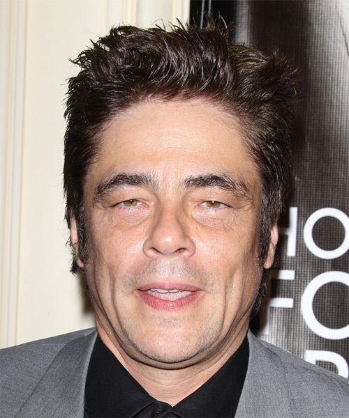 Benicio Del Toro Short Straight   Dark Chocolate Brunette   Hairstyle  