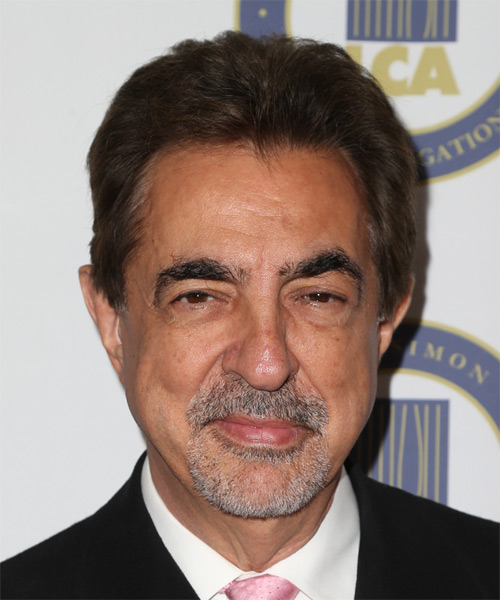 Joe Mantegna Short Straight    Brunette   Hairstyle