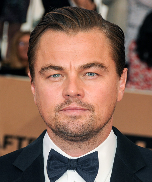 Leonardo DiCaprio Short Straight    Brunette   Hairstyle with Side Swept Bangs