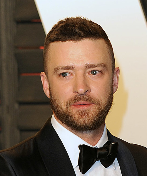 Justin Timberlake Short Straight    Brunette