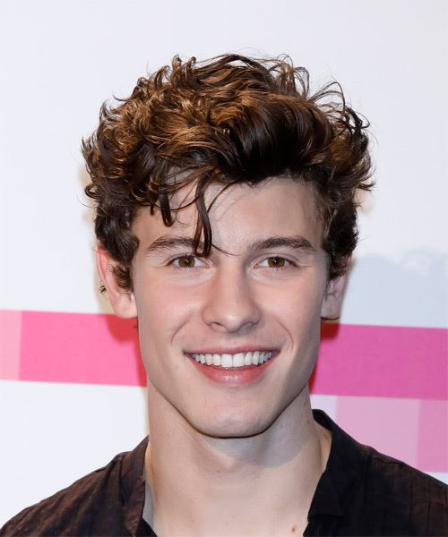 Shawn Mendes Short Wavy    Brunette