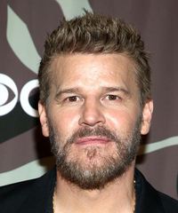 David Boreanaz Hairstyles