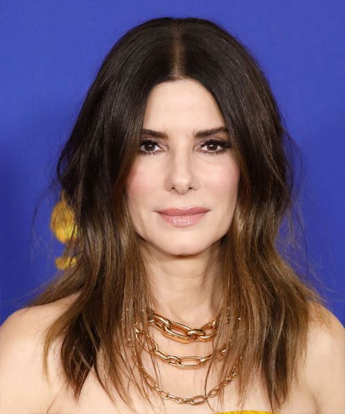 Sandra Bullock Long Straight   Black  and  Brunette Two-Tone   Hairstyle  