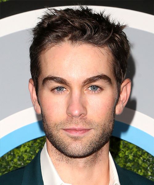 Chace Crawford Short Wavy   Dark Brunette   Hairstyle   with Light Brunette Highlights