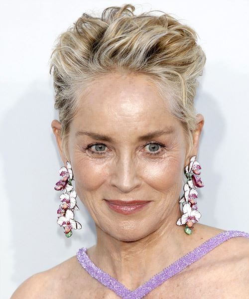 Sharon Stone   Layered   Grey Pixie  Haircut   with Light Brunette Highlights