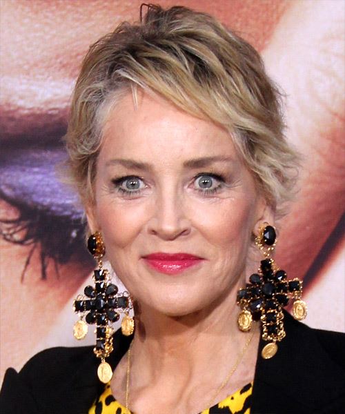31+) Sharon Stone Hairstyles & Haircuts - Now & Then ~ Sophisticated Allure  - Celebrity Hairstyles & Haircuts