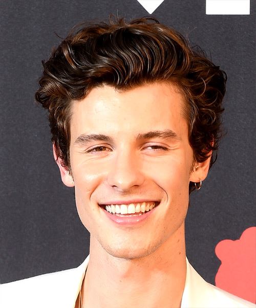 Shawn Mendes Short Wavy   Black    Hairstyle  