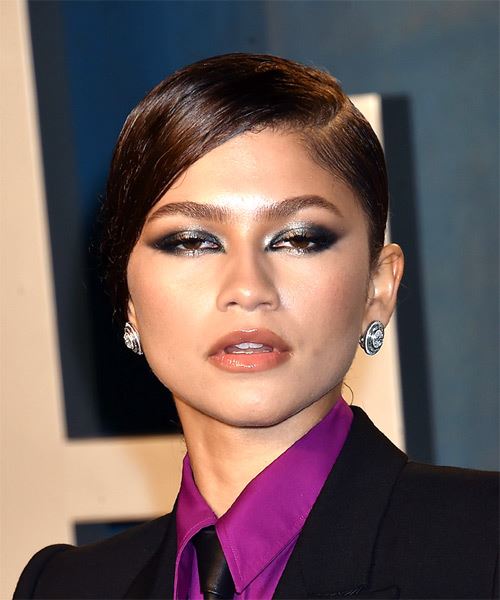 Zendaya Long Straight   Black   Updo Hairstyle with Side Swept Bangs