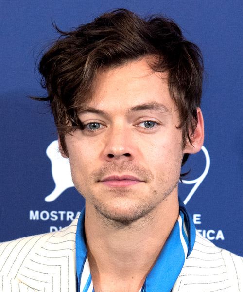 Harry Styles Short Natural Waves