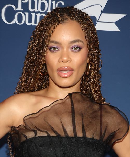 Andra Day Long Hairstyle With Tight Curls