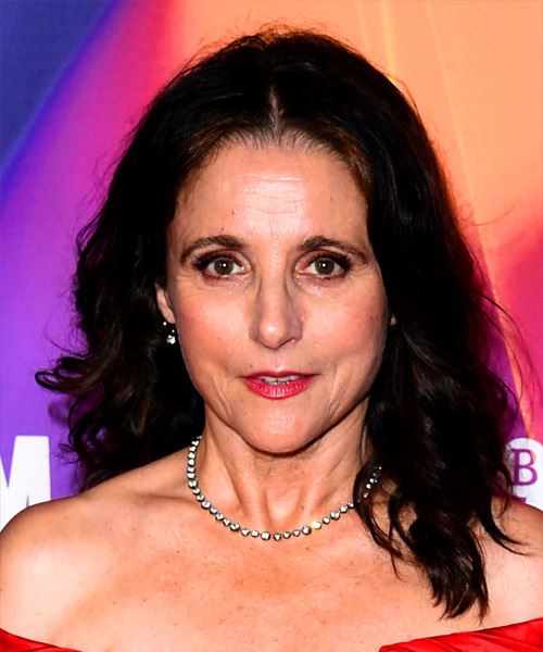 Julia Dreyfus Long Hairstyle With Curls