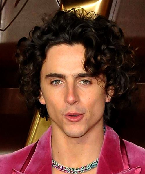 Timothee Chalamet Casual Curly Hairstyle