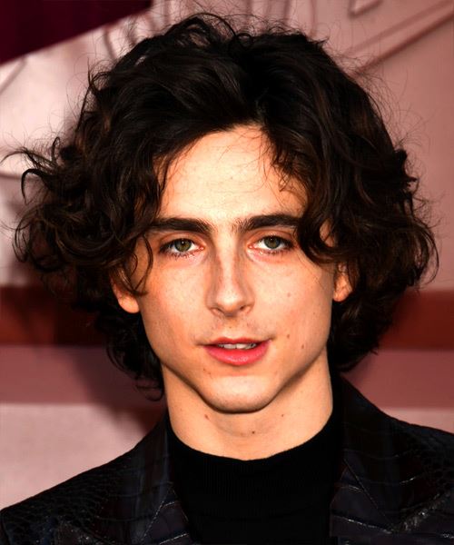 Timothee Chalamet Medium-Length Hairstyle With Natural Waves