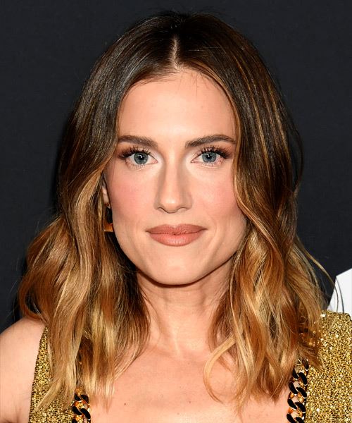 Allison Williams Chic Highlighted Hairstyle