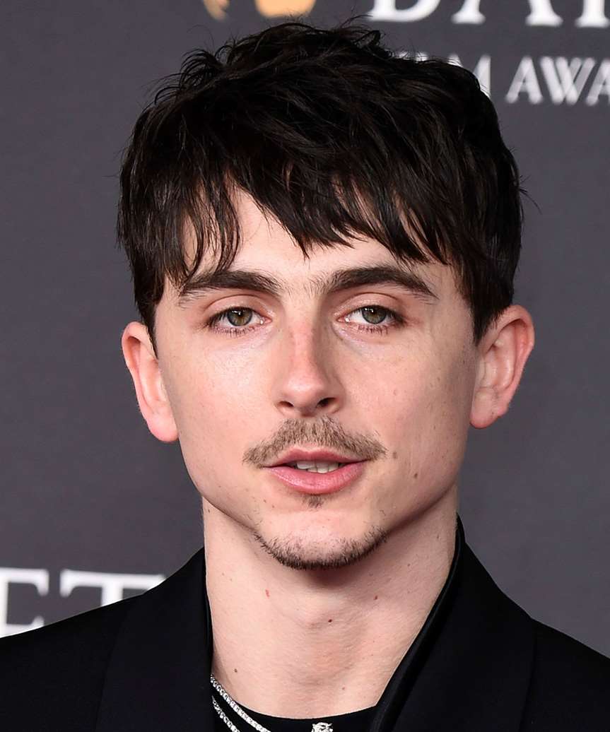 Timothee Chalamet Hairstyle With Bangs