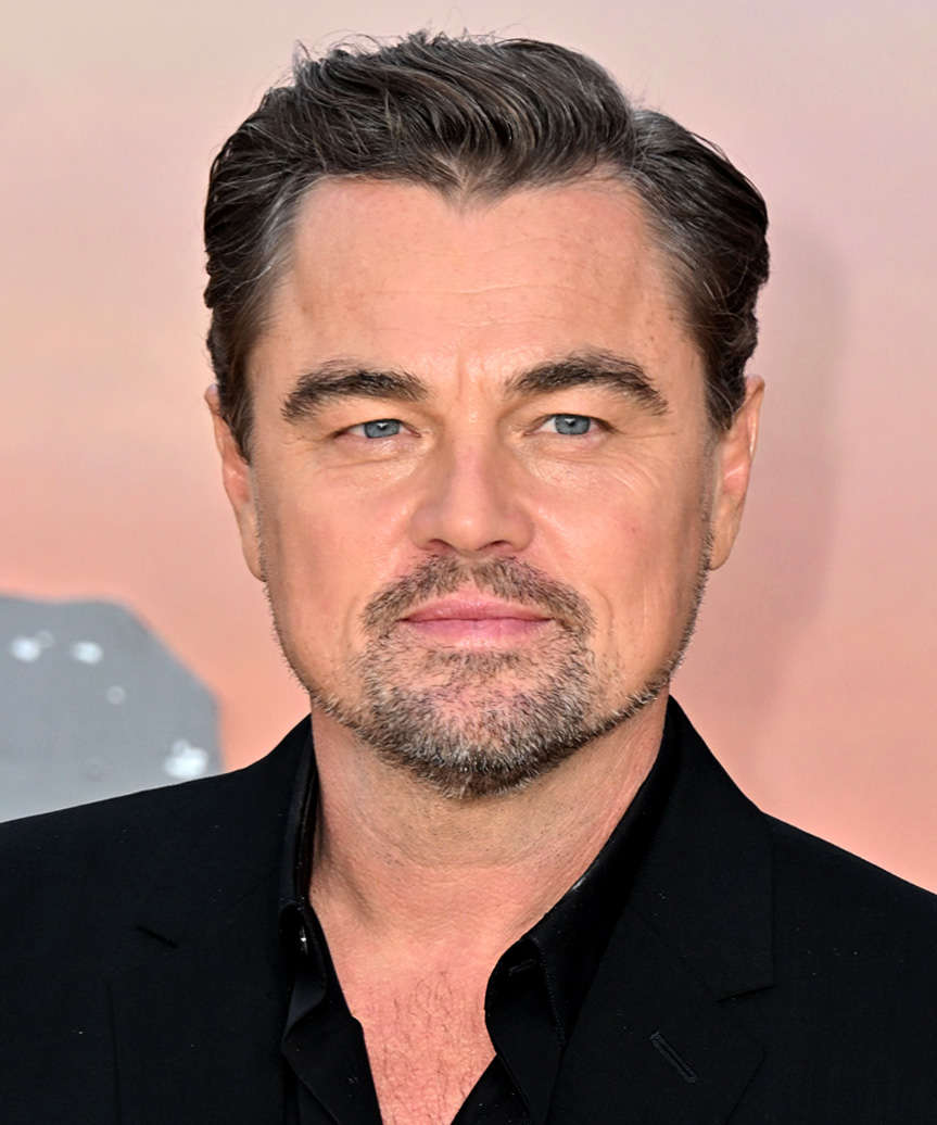 Leonardo DiCaprio Hairstyle