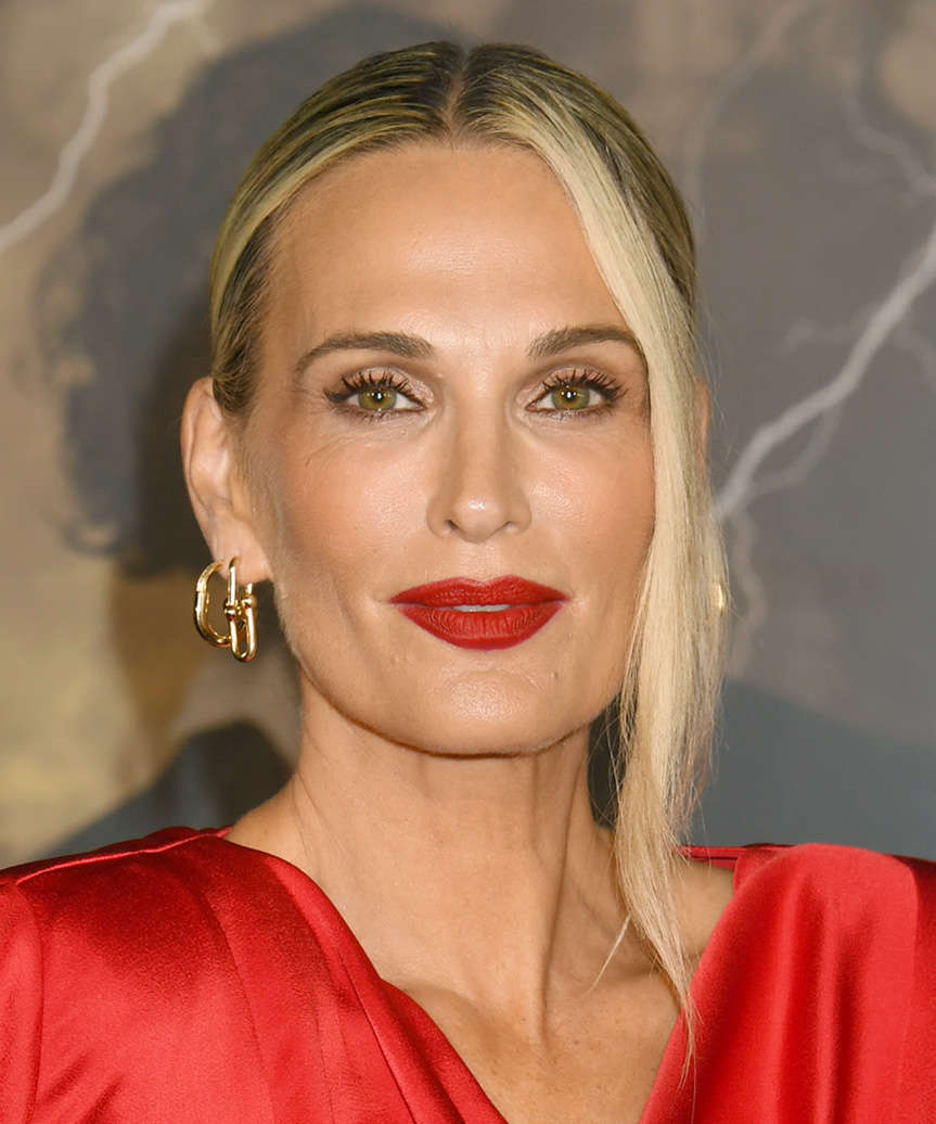 Molly Sims Sleek Updo Hairstyle