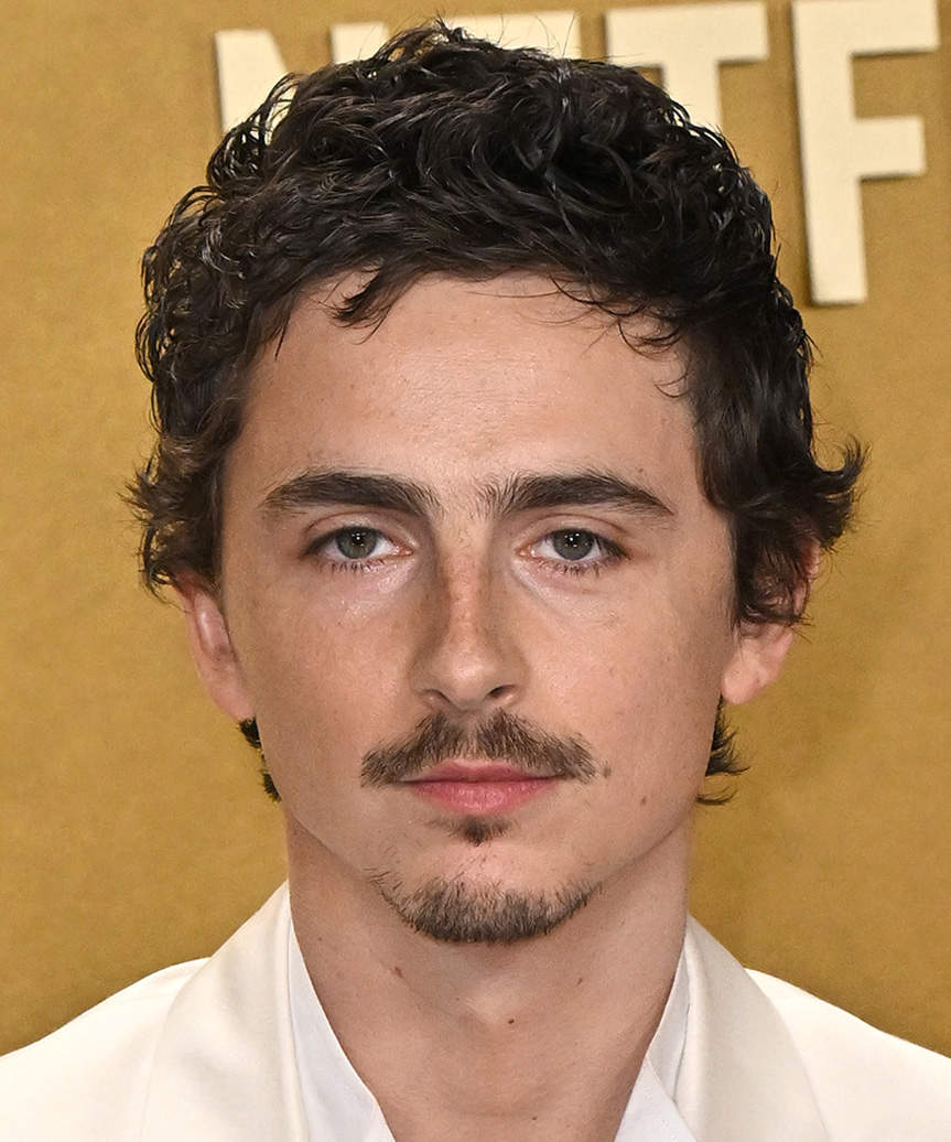 Timothee Chalamet Short Hairstyle With Natural Waves