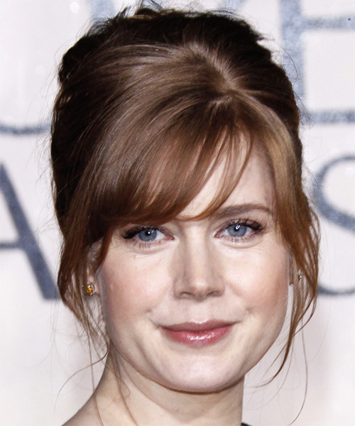 Amy Adams  Long Straight    Updo Hairstyle